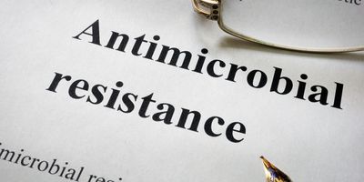 Photo of a white paper with words “antimicrobial resistance AMR” printed on it.