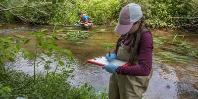 Heidi Pickard conducts fieldwork in the Santuit River on Cape Cod (Photo Credit:  M. Salerno, URI STEEP Superfund Research Program)