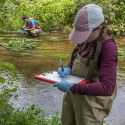 Heidi Pickard conducts fieldwork in the Santuit River on Cape Cod (Photo Credit: M. Salerno, URI STEEP Superfund Research Program)