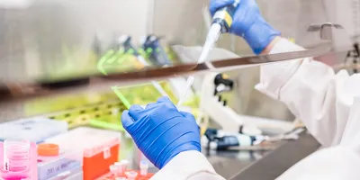 Photo of a clinical laboratory professional wearing PPE pipetting prostate cancer screening samples in a laboratory biological safety cabinet.