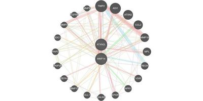 Of the many genes involved in rheumatoid arthritis and osteoporosis, the researchers identified two key genes, ATXN2L and MMP14, that are most strongly linked to both diseases.