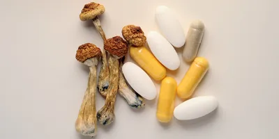 Photo of dried psilocybin mushrooms and psilocybin capsules and pills against a white background.