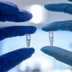 Photo of two McMaster researchers wearing gloves holding up two samples of the bacteriophages used in the new lab test.