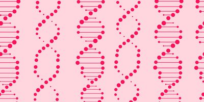 Illustration of vertical line drawing representing the DNA molecular helix in dark pink against a light pink background.