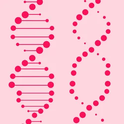 Illustration of vertical line drawing representing the DNA molecular helix in dark pink against a light pink background.