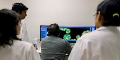 Researchers in the Lele Lab analyzing cell imaging data.
