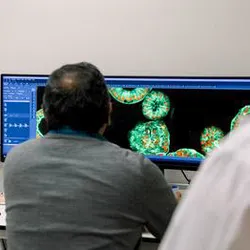 Researchers in the Lele Lab analyzing cell imaging data.