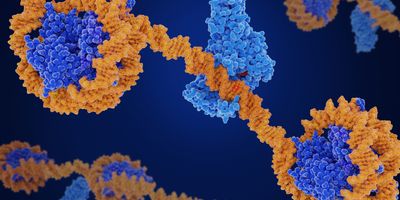 New England Biolabs released an updated kit that provides more sensitive detection of 5mC and 5hmC.