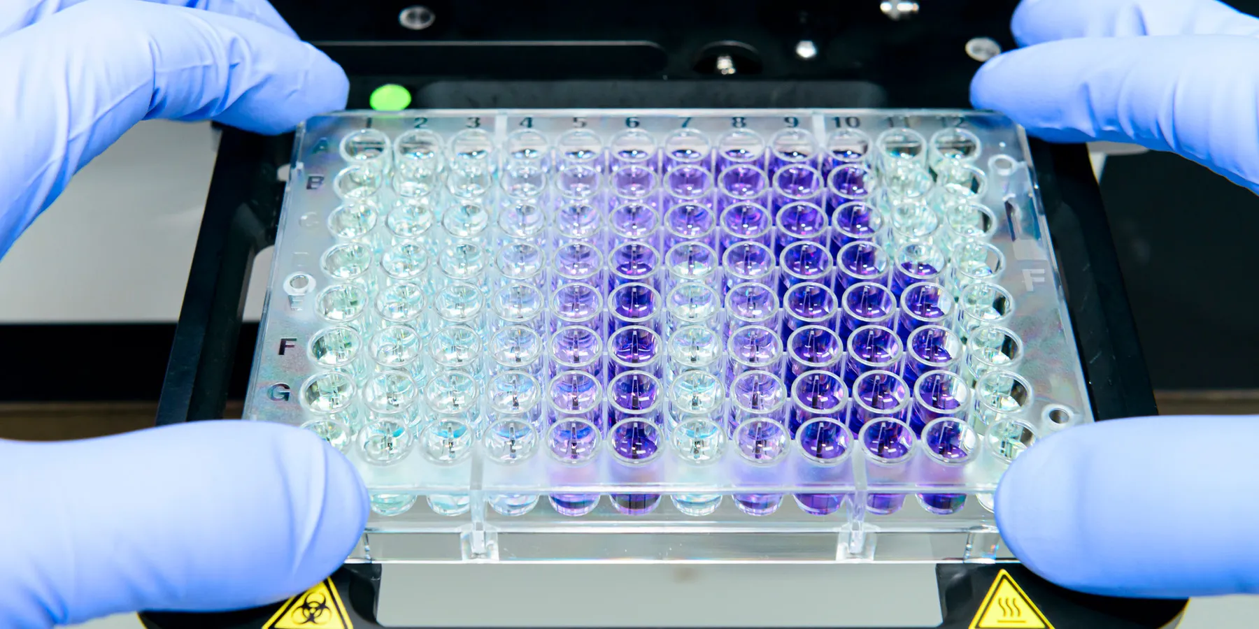 Photo of a clinical lab professional placing a chemiluminescence 96-well plate assay into an lab test analyzer.