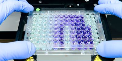 Photo of a clinical lab professional placing a chemiluminescence 96-well plate assay into an lab test analyzer.
