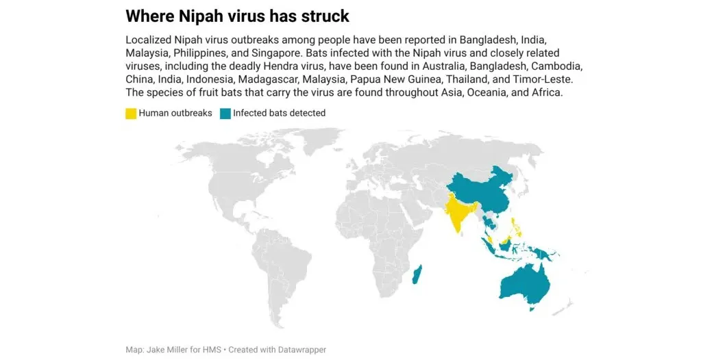 A map showing areas of Nipah virus infections in bats and humans across the world.