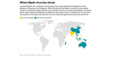 A map showing areas of Nipah virus infections in bats and humans across the world.