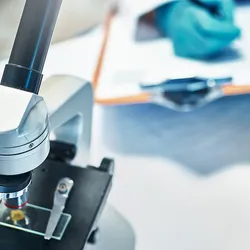 Photo of the hands of a medical laboratory scientist wearing gloves and a white lab coat and writing results on a clipboard next to a microscope in the lab.