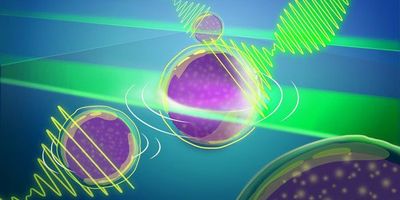An artist's representation of the new Brillouin microscopy approach that allows entire light-sheets to interact with 3D biological samples. The scattered light reveals a unique optical interference signal that can be recorded with a custom-developed spectrometer, tremendously speeding up image acquisition.
