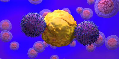 Illustration of two CAR T-cells attacking a cancer cell.