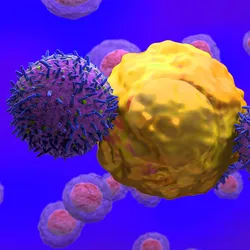 Illustration of two CAR T-cells attacking a cancer cell.