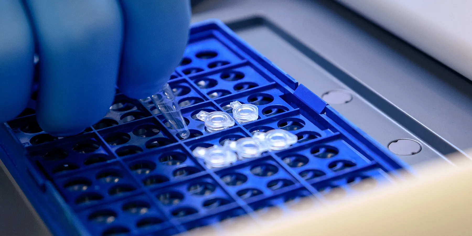 Gloved scientist pipetting samples into a microplate, representing precision DNA fragmentation, sample preparation, and next-generation sequencing (NGS) workflows