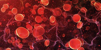 Illustration of red blood cells traveling inside of an artery in the bloodstream, where DNA associated with Chagas disease parasite can be detected.