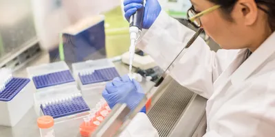 Photo of a clinical research scientist wearing PPE in a laboratory and pipetting urine samples for testing in clinical trials inside of a fume hood.