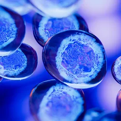PROSTOXTM ultra is the first and only molecular diagnostic test to use biology and genetics to predict radiation toxicity