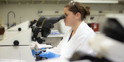 A clinical laboratory staff member wearing PPE sits at a microscope and evaluates a sample in a laboratory at Mayo Clinic. 