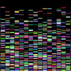 An illustration of many small, colorful rectangles on a black background to represent data generated from a genetics DNA sequence mapping.