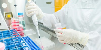 Even small tissue samples can yield additional insights into a tumor’s biology, immune interactions, and molecular pathways