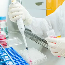 Even small tissue samples can yield additional insights into a tumor’s biology, immune interactions, and molecular pathways