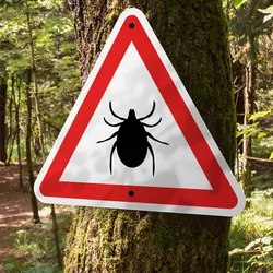 Photo of a warning sign with the image of a tick on it nailed to a tree on a forest trail.