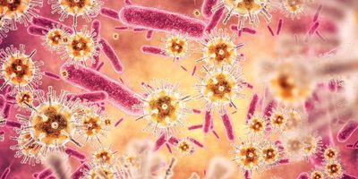The LEX system supports multiplex testing for key respiratory pathogens, including Influenza A, Influenza B, and COVID-19, and is engineered to deliver PCR results in 6 to 10 minutes.