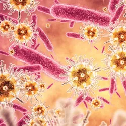 The LEX system supports multiplex testing for key respiratory pathogens, including Influenza A, Influenza B, and COVID-19, and is engineered to deliver PCR results in 6 to 10 minutes.