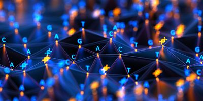 The researchers say that the development of blinx required a research institute like Janelia.