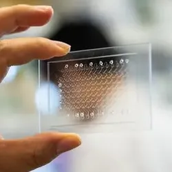 The newest tuberculosis infection testing device by Tulane University is the size of a credit card, requires no electricity and significantly improves detection of the disease in those with HIV. 