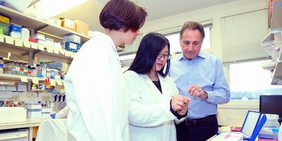 Wenbo Xu (center) is a Stony Brook University PhD student studying triple-negative breast cancer in the Spector lab at Cold Spring Harbor Laboratory.
