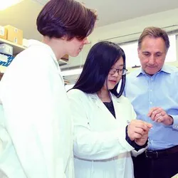 Wenbo Xu (center) is a Stony Brook University PhD student studying triple-negative breast cancer in the Spector lab at Cold Spring Harbor Laboratory.
