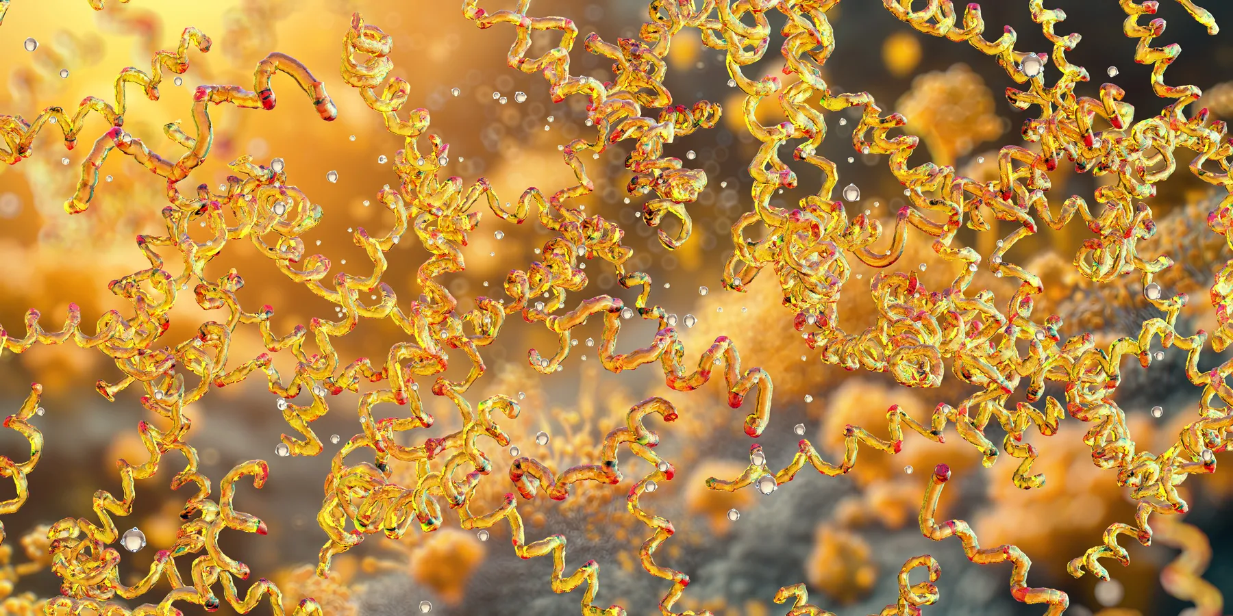 Gastric cancer ranks as the fifth leading cause of cancer-related deaths worldwide, driven mainly by chronic infection with H. pylori, a cause that can be prevented through effective treatment. 