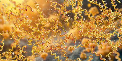 Gastric cancer ranks as the fifth leading cause of cancer-related deaths worldwide, driven mainly by chronic infection with H. pylori, a cause that can be prevented through effective treatment. 