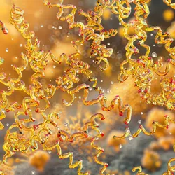 Gastric cancer ranks as the fifth leading cause of cancer-related deaths worldwide, driven mainly by chronic infection with H. pylori, a cause that can be prevented through effective treatment. 