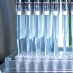 iStock, Martin Philip