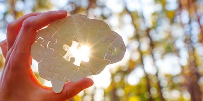 Besides environmental factors, genes have a strong influence on whether or not a person develops AD during their lifetime. 