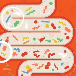 With these rising rates, early-onset colorectal cancer has become the leading cause of cancer-related death for men under 50 and the second-leading cause for women under 50 in the United States.