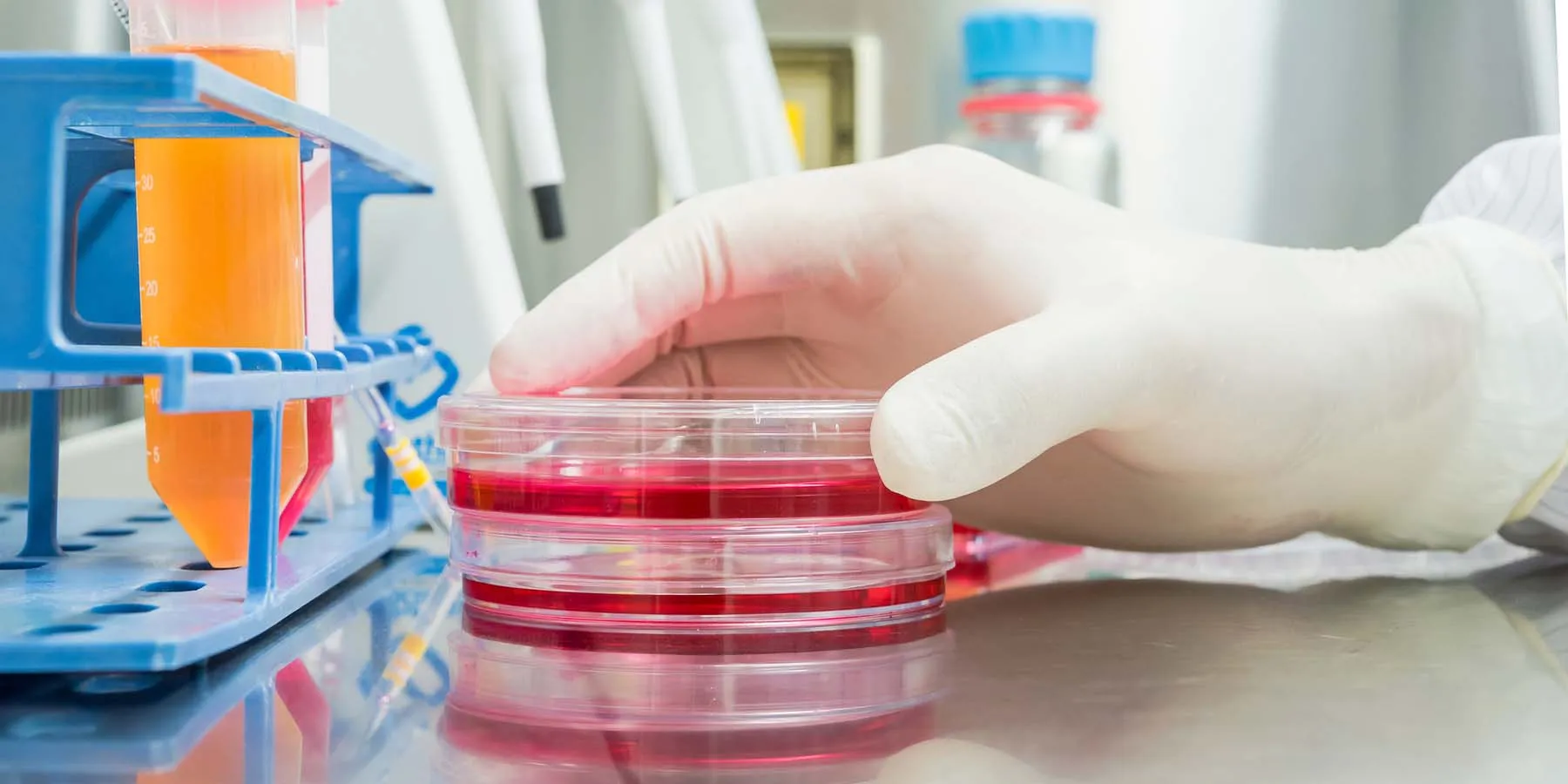 As the demand for precision oncology continues to grow, these models will remain at the forefront of efforts to understand cancer complexity, personalize therapy, and ultimately improve patient outcomes.