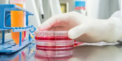 As the demand for precision oncology continues to grow, these models will remain at the forefront of efforts to understand cancer complexity, personalize therapy, and ultimately improve patient outcomes.