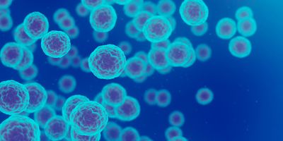 Unfortunately, notable roadblocks and disparities can limit access or extend the time it takes to get a cancer diagnosis. 