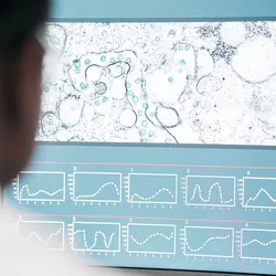 These findings highlight a previously unrecognized risk for cancer survivors, emphasizing the importance of protecting this vulnerable population from respiratory infections through vaccination and other precautions.