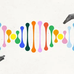 The research, published in Nature Genetics, focused specifically on the risk of blood cancers such as acute myeloid leukemia.