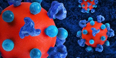 HIV Virus Creative artwork featuring colorized 3D prints of HIV virus particles. The virus surface (red) is covered with proteins (dark blue) that enable the virus to enter and infect human cells, and additional proteins (teal spheres) that disguise the virus from the immune system. A colorized transmission micrograph of an H9 T cell (blue) appears in the background. Note: proteins not to scale.