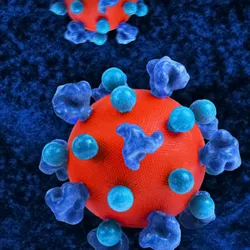 HIV Virus Creative artwork featuring colorized 3D prints of HIV virus particles. The virus surface (red) is covered with proteins (dark blue) that enable the virus to enter and infect human cells, and additional proteins (teal spheres) that disguise the virus from the immune system. A colorized transmission micrograph of an H9 T cell (blue) appears in the background. Note: proteins not to scale.