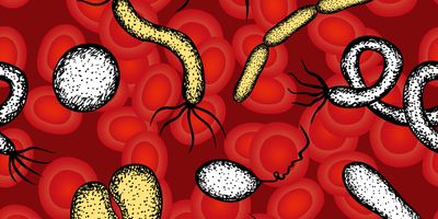 Despite the alarming statistics, many sepsis-related deaths are preventable through rapid diagnosis and treatment.