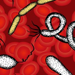 Despite the alarming statistics, many sepsis-related deaths are preventable through rapid diagnosis and treatment.